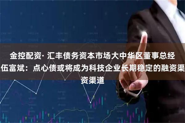 金控配资· 汇丰债务资本市场大中华区董事总经理伍富斌：点心债或将成为科技企业长期稳定的融资渠道