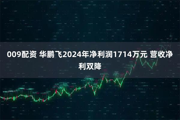 009配资 华鹏飞2024年净利润1714万元 营收净利双降