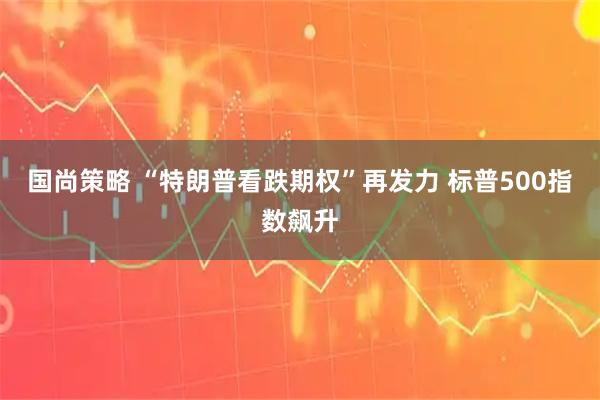 国尚策略 “特朗普看跌期权”再发力 标普500指数飙升
