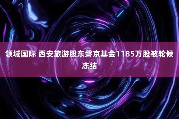 领域国际 西安旅游股东磐京基金1185万股被轮候冻结