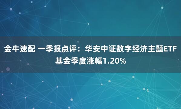 金牛速配 一季报点评:华安中证数字经济主题ETF基金季度涨幅1.20%