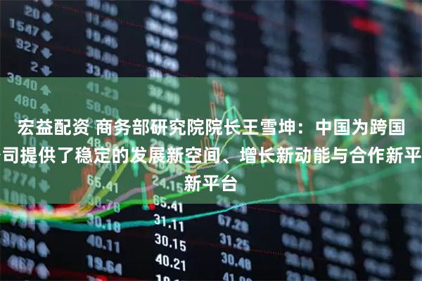宏益配资 商务部研究院院长王雪坤:中国为跨国公司提供了稳定的发展新空间、增长新动能与合作新平台